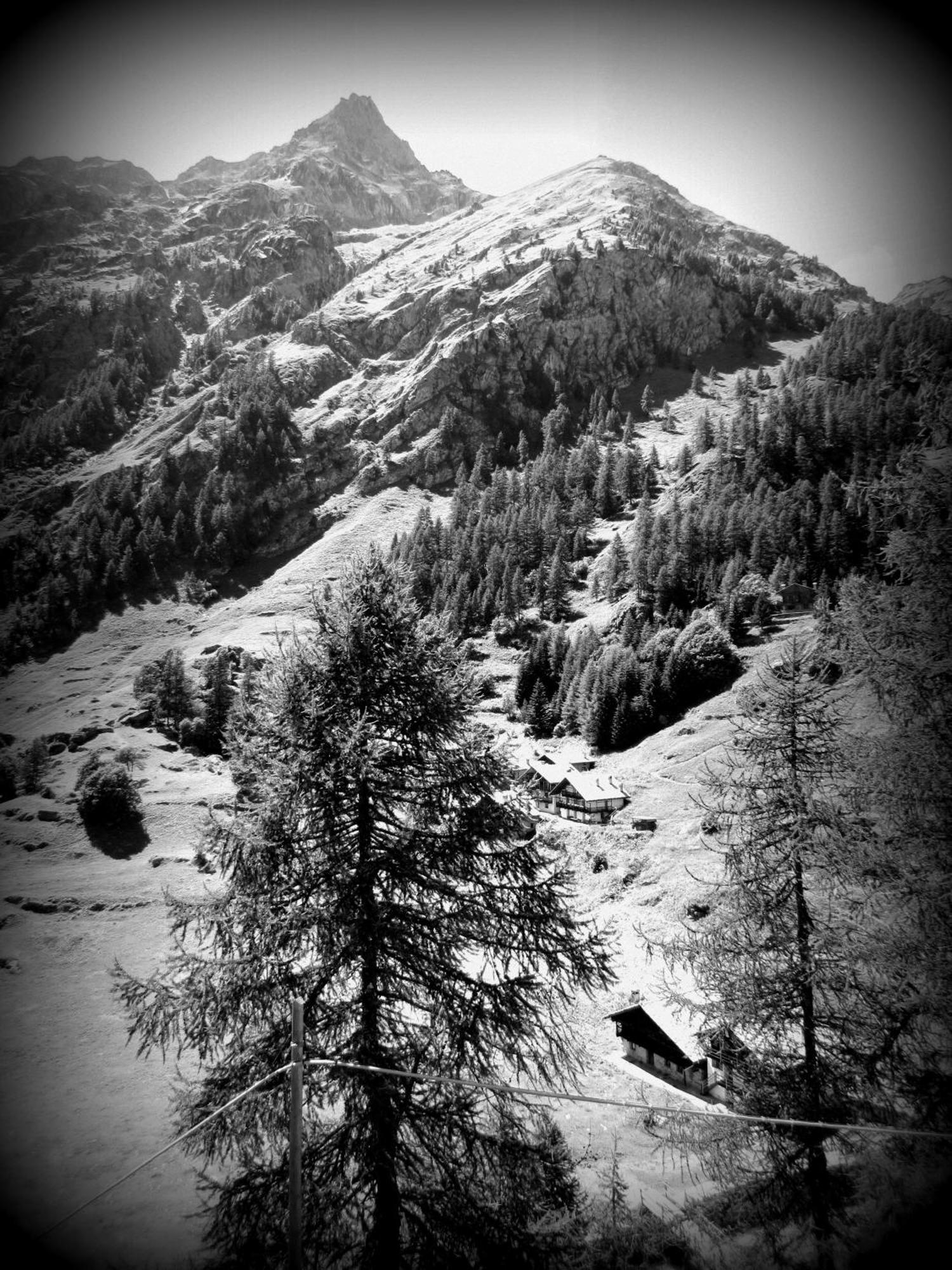 Il Piccolo Residence Gressoney-la-Trinité Esterno foto