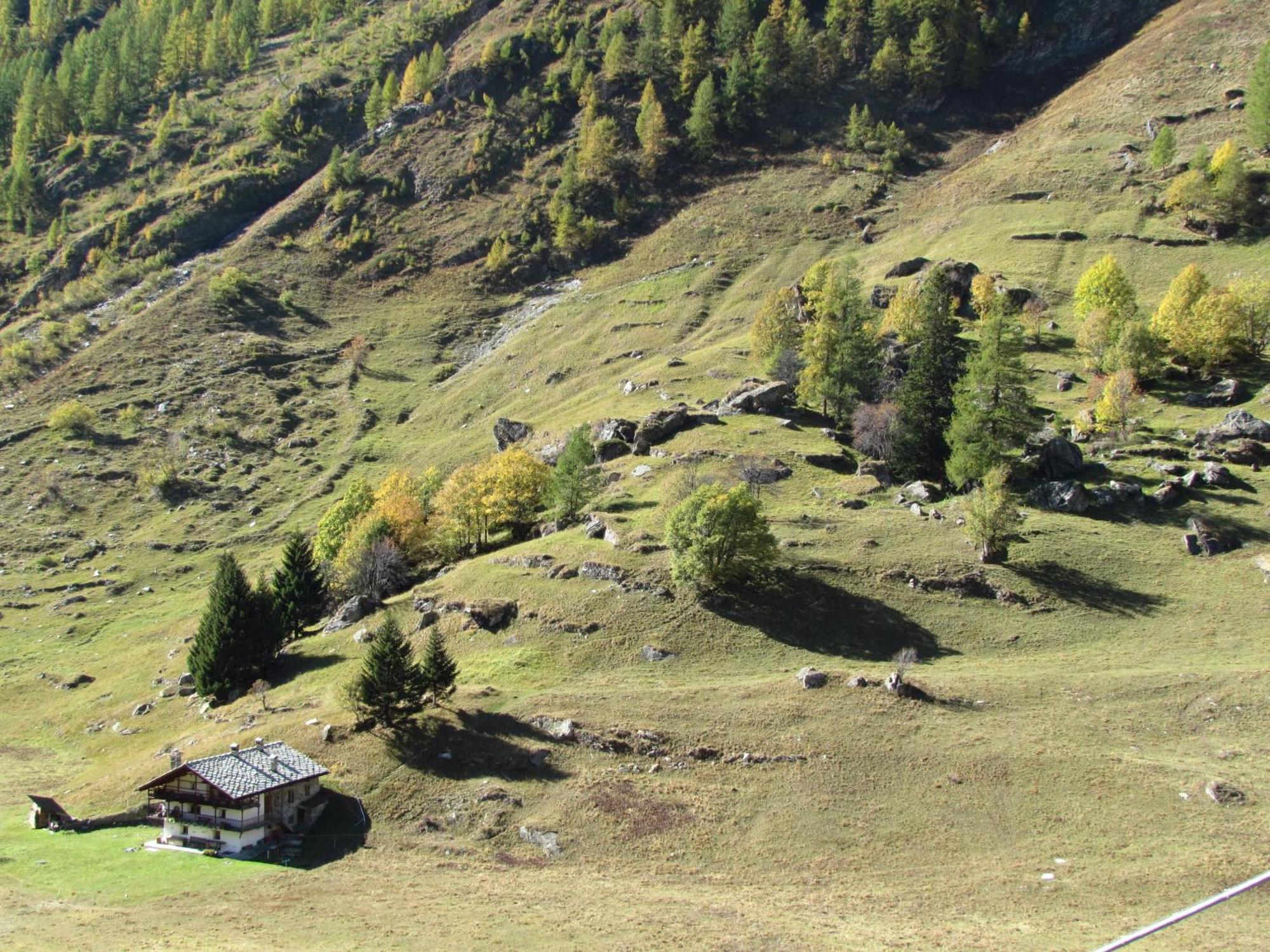 Il Piccolo Residence Gressoney-la-Trinité Esterno foto